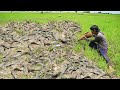 Awesome Fishing By Hands After Raining - Best Catching & Catfish Near my Village