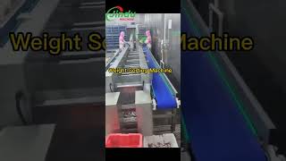 Fish weight sorting machine in-motion conveyor scale #machine  #equipment #fish #fishprocessing