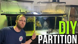 DIY Aquarium Partition - Turtle Separator - No More Fighting!