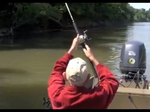 Catfish DIP BAIT Challenge! (TONS of Catfish) 