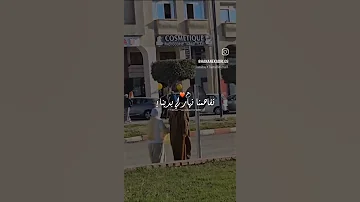 الا شفتونا تسيبارينا عرفو واحد ما ت فينا اكسبلور تيك توك Algerie Rai تصميم فيديوهات Bem 