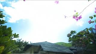 Download lagu 庄学忠- 几度花落时 MP3 Download lagu 庄学忠- 几度花落时
