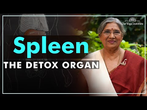 Video: Treatment Of The Spleen With Folk Remedies And Methods