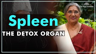 Know how to take care of your spleen | Dr. Hansaji Yogendra