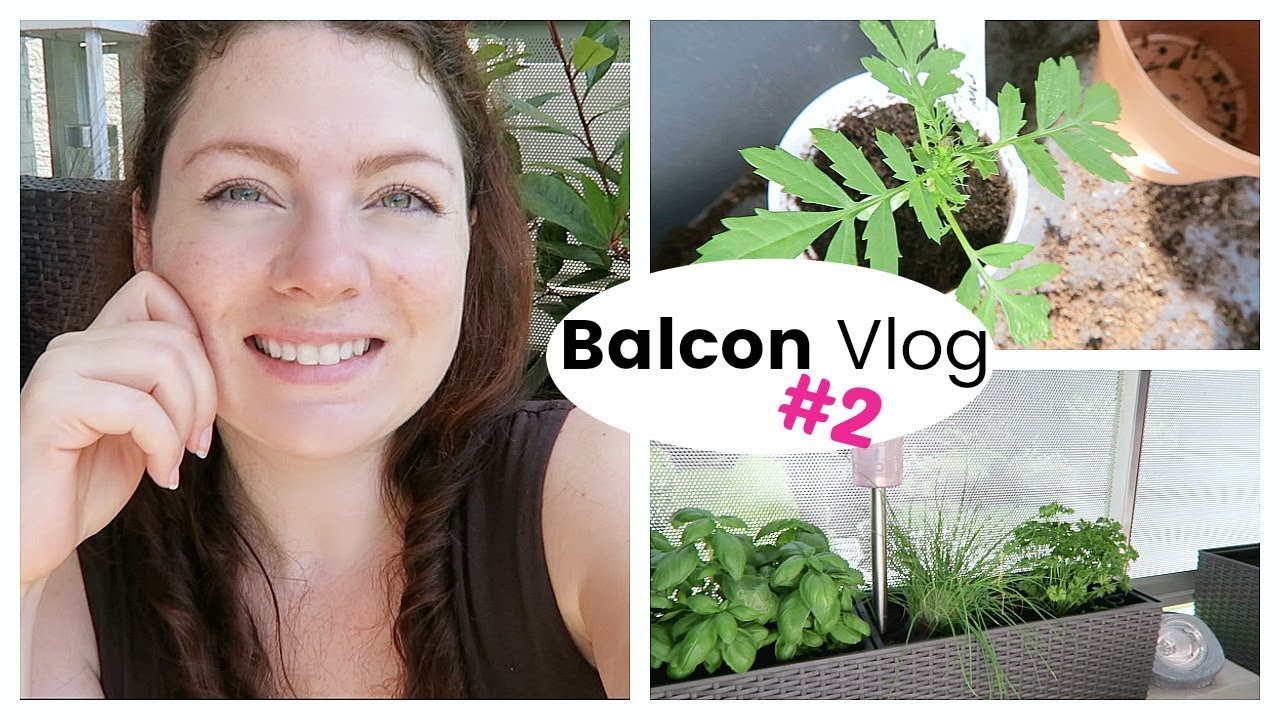 BALCON VLOG - Rempotages, shopping de plantes aromatiques et tissu déco | Vlog jardinage au balcon