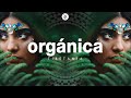 Organica mix  finest organic  ethno deep house music  dj mix by marga sol