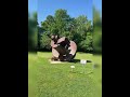 Sculpture Tour at Laumeier Sculpture Park (Improved)