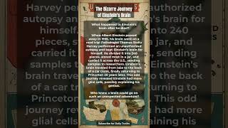The Bizarre Journey of Einstein's Brain