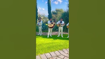 Thumbnail of Live Mariachi Band playing music at a wedding in Mexico #travelvlog #mexico #livemusic #travel