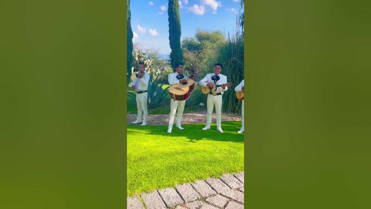 Live Mariachi Band playing music at a wedding in Mexico #travelvlog #mexico #livemusic #travel