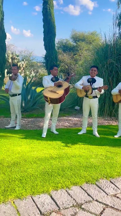 Live Mariachi Band playing music at a wedding in Mexico #travelvlog #mexico #livemusic #travel