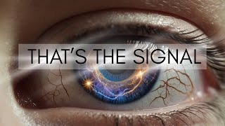 Eye Twitching Meaning During Spiritual Awakening – The Truth No One Told You