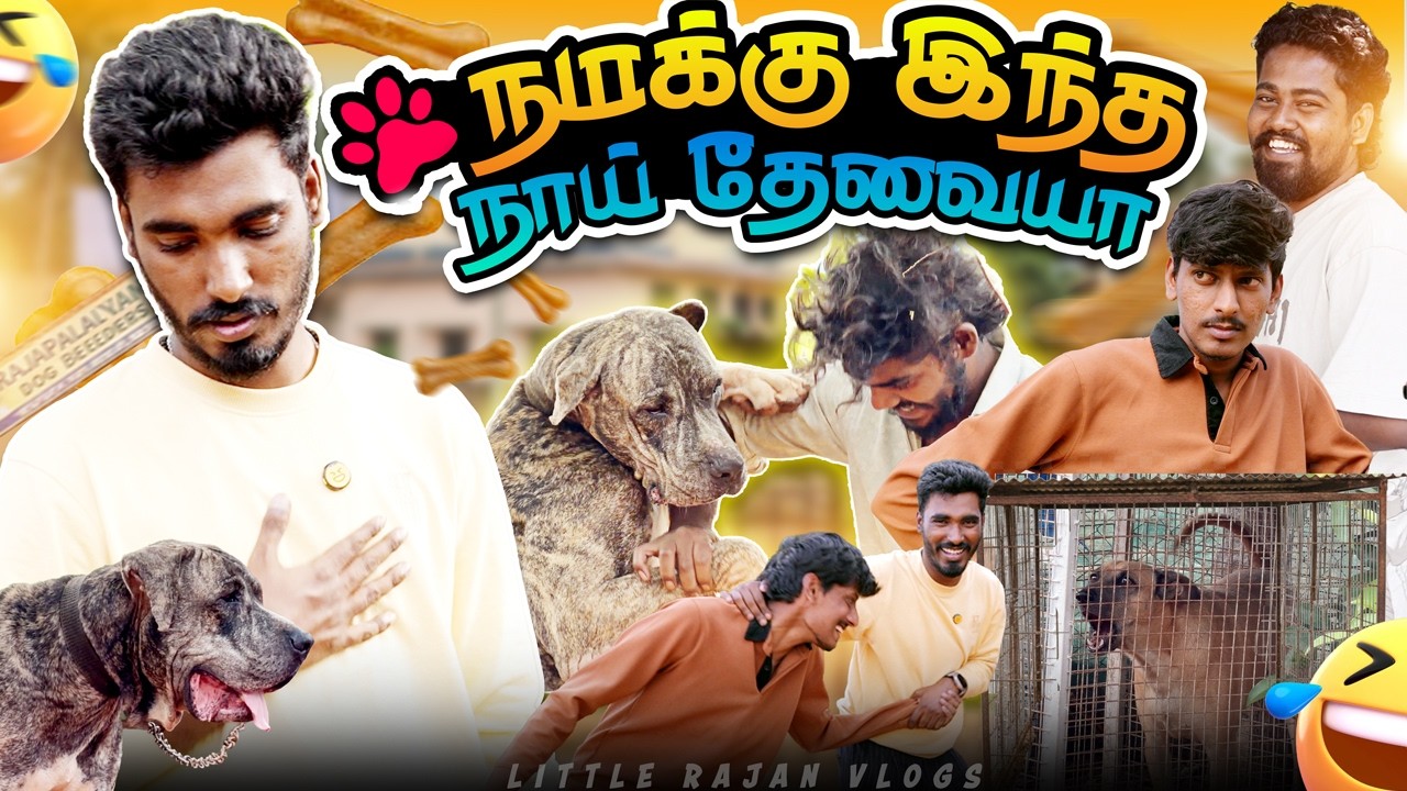 இப்படித்தான் வாழ்க்கையில அசிங்கப்பட்டு வரக்கூடாது 🐾🦮 | Dog Series | Ep-03 | Little Rajan Vlogs