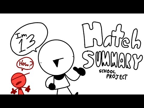 Hatchet summary - YouTube
