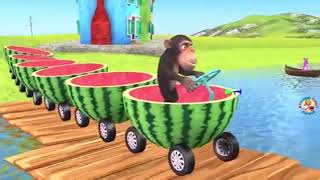 Karpuz tren süren maymun Resimi
