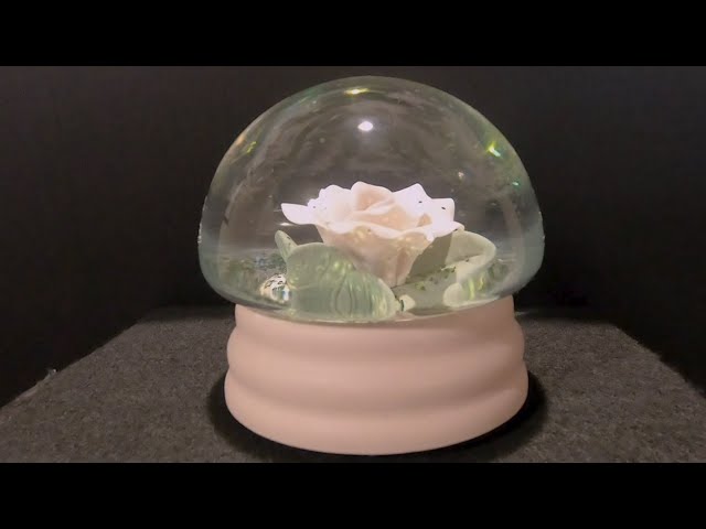 zb1 ROSE RING WATERGLOBE スノードーム Amazon.com: Rose Snow Globe Music Box, Preserved Red Rose Flower