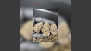 lets ge high (feat. deedeeblam & boomanloc)
