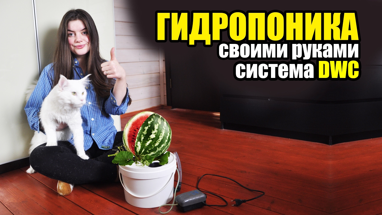 ГИДРОПОНИКА #1. Гидропонная система DWC \ DWC Hydroponic System
