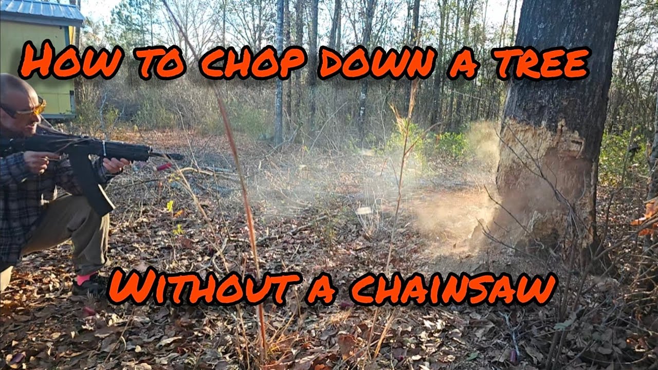 How to chop down a tree without a chainsaw. - YouTube