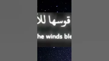 سفينة غلاية الشاي 