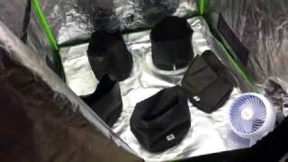 Cannabis Grow Tent Walkthrough w/ 600+ watt T5 lights