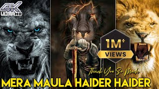 Mera Maula Haider Haider Status | Tik Tok Viral Video Status | New Manqabat Status 2022 Resimi