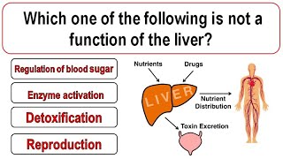 Top 40 GK Questions Answer In English | Improve your General Knowledge with our GK Questions Answers