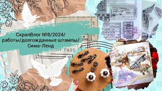 :  8/2024/ /  / -