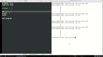 [Fortran] 9 Loops, bucles, ciclos