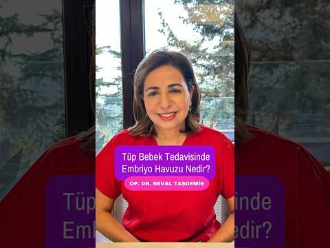 Tüp Bebek Tedavisinde Embriyo Havuzu | FertiJin Tüp Bebek Merkezi