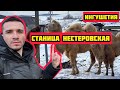 Ингушетия. Обзор станицы Нестеровская. Встретил семью верблюдов. Увидел ЗАМОК. Пугачева завидуй!