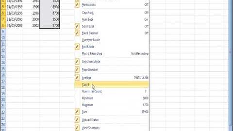 Customize Status Bar Excel Video Tutorials in Hindi - LSOIT.COM