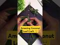 Amazing Coconut Leaf Craft – Insect Making for Beginners #shorts #coconutleafcraft #handicraft