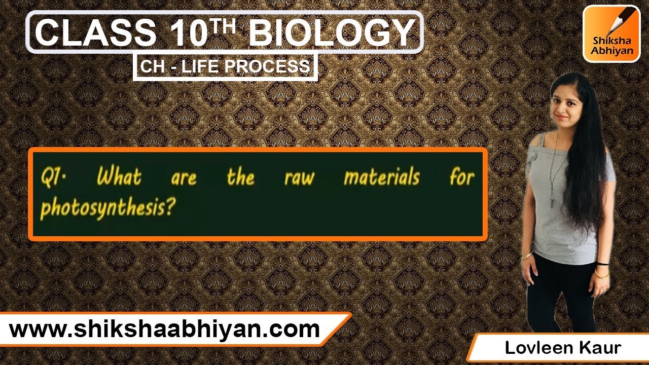 Q1 What are the raw materials for photosynthesis? Life Process CBSE