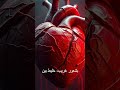 قصه رعب الصوت اللي بينادي باسمك من بعيد 