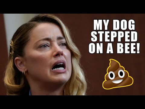 Amber Heard's 'My Dog Stepped On A Bee' Quote Ridiculed On TikTok