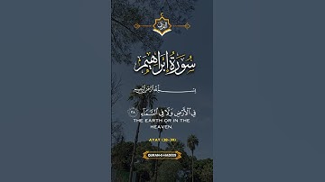 ربنا إنك تعلم ما نخفي و ما نعلن #قران_كريم #اكسبلور #دعاء #تلاوة_خاشعة #تيك_توك #لايك #alquran #ترند
