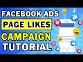 FACEBOOK PAGE LIKES ADS CAMPAIGN TUTORIAL