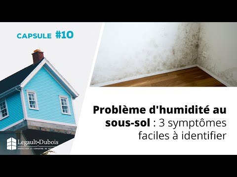 Capsule habitation #10 | Problème d'humidité au sous-sol : 3 symptômes faciles à identifier