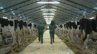 UPEI Commercial: Farms (Fall 2009)
