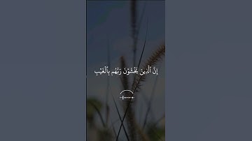 أجمل حالات واتس اب قرأن بصوت القارئ ماهر المعيقلي/#سورة_الملك#القرآن_الكريم #ماهر_المعيقلي/#8/#quran