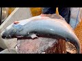 Big Pangas Fish Cutting In Fish Market | Fish Cutting Skills