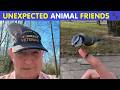 Heartwarming Wildlife Encounters Caught On Camera 🐾