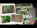 ഔഷധ ഗുണമുള്ള ഈ അടിപൊളി ചമ്മന്തി കേടു കൂടാതെ ഇരിക്കാനുള്ള tips/veppilakkatti#cooking#reciepe#