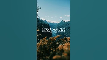 ومن يتق الله يجعل له مخرجا | تلاوة قرانيه ❤تفيض جمالاً❤ أرح بها بالك ومسمعك ❤️