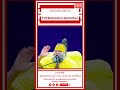 PremanandJi Maharaj (प्रेमानन्दजी महाराज) EP-54 #subscribe #ytshorts #premanandjimaharaj #shorts