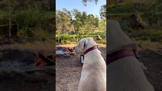 Quick escape to nature with family 🏕️🔥🪵🌙✨