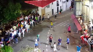 Encierro San Juan Coria 24 junio 2017