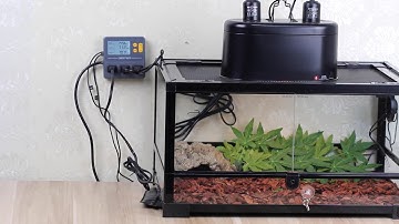 How to  set TTC-1003 Day and night dimming reptile temperature controller ---operation instruction