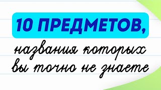 10 слов, которые вас удивят! Мало кто знает названия этих предметов | Русский язык